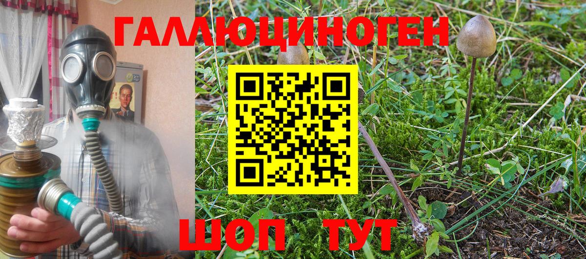 Галлюциногенные грибы GOLDEN TEACHER  Вход с VPN  Псилоцибиновые грибы MAGIC MUSHROOMS  Чехов 